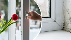 När ska man vädra hemma för att undvika mögel och kondens? Experterna ger ett tydligt svar