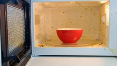 Mikrovågsugnen blir skinande ren på 10 minuter: Hemlig huskur som tar bort fett utan spår