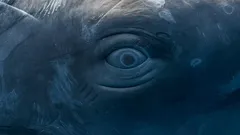 Havet talar med förnuftets röst: Forskare avslöjar språket hos varelser vars tal skrämmande liknar vårt