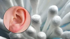 Mer skadligt än du tror: varför ska du inte rengöra öronen med bomullspinnar?