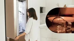 Spänningsvariationer är inte längre ett problem: så skyddar du kylen vid strömavbrott