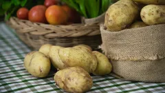 Lägg detta på potatisen så håller den till våren: en enkel och effektiv förvaringsmetod