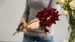 Blommor i vasen håller dubbelt så länge: floristens hemlighet som överraskar med resultatet